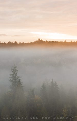 mist in the morning