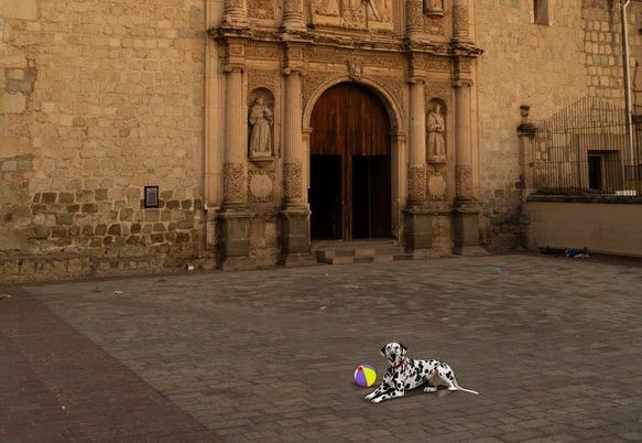 Photo: Peter Samwell/Ai