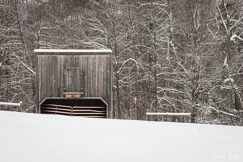 A collection of photos from a farm in Maine