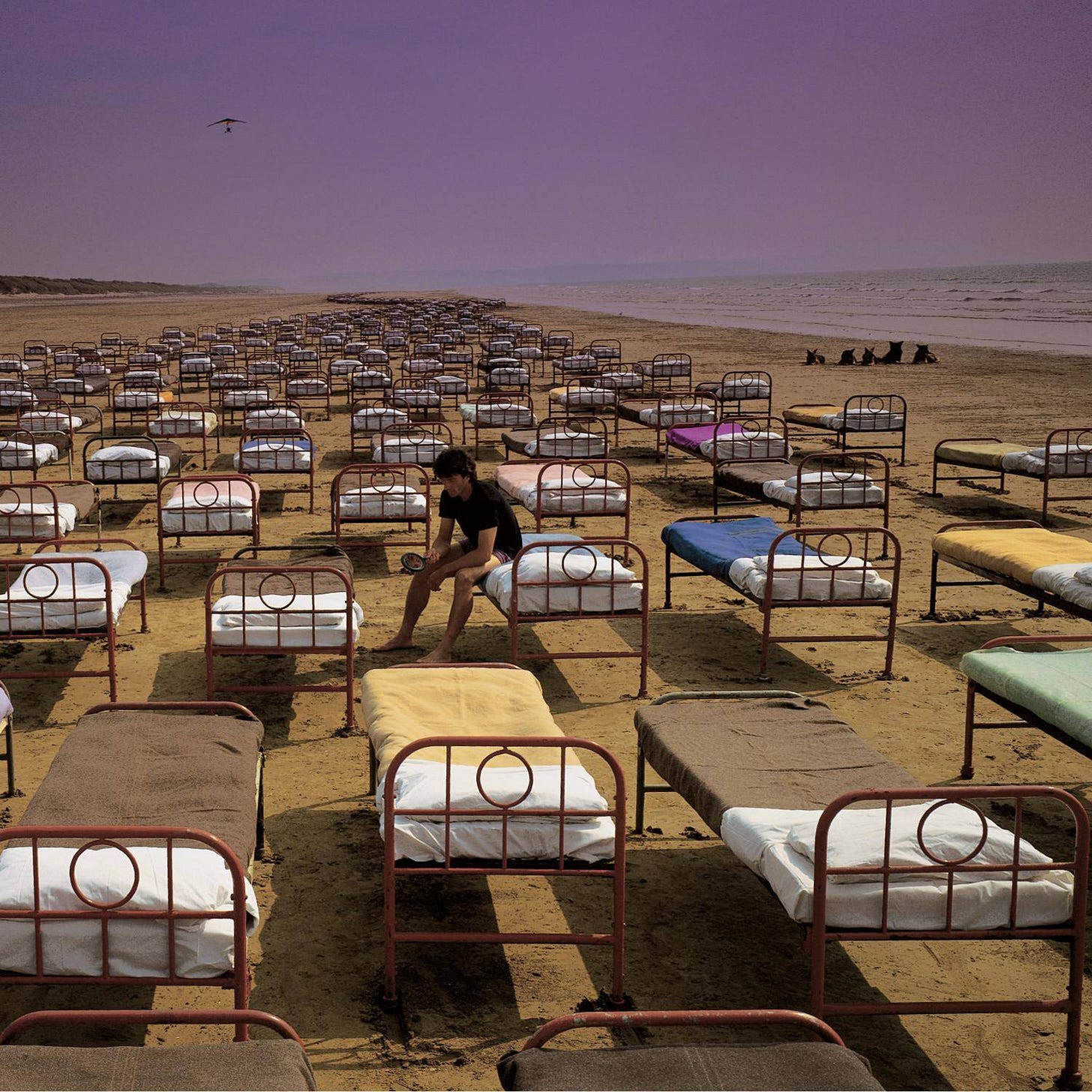 29 years ago today, A Momentary Lapse of Reason was released; Pink Floyd's  first post-Roger Waters album. : r/pinkfloyd
