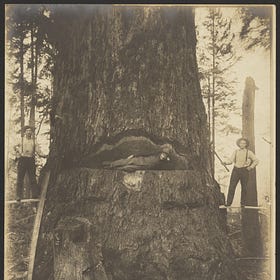 Remembering the Lost Giants