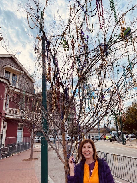 Mardi Graa necklaces hung on a tree in New Orleans