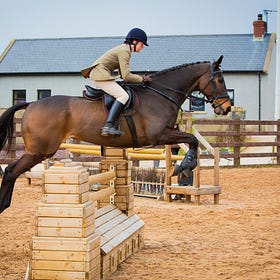 Bernadette and ‘Teo's Chance’ take Horse Champion at Hagans Croft Working Hunter