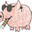 Capitalist Pig Collective