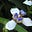 Lynette Purdue's avatar