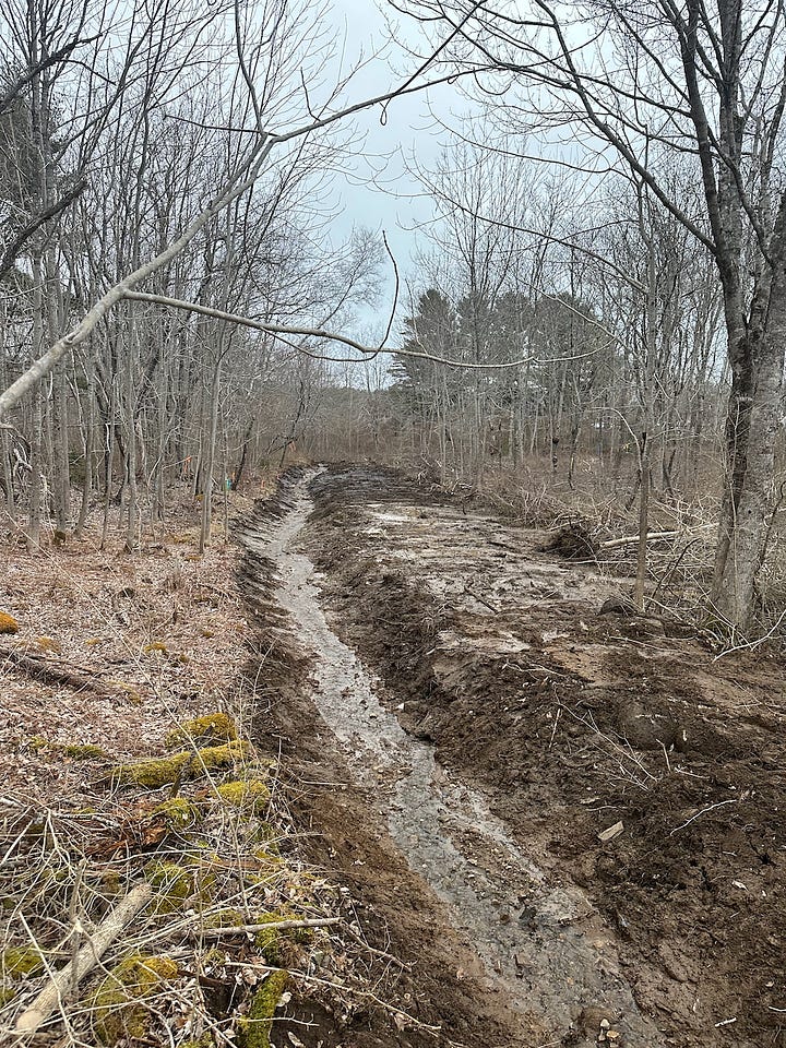 Progress on neighbor's brush pile, digging ditch, and the final product.
