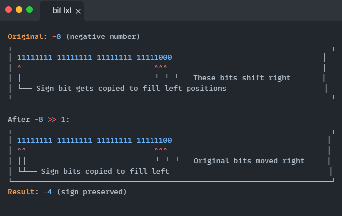 Mastering Bit Manipulation: From Binary Basics to Advanced Patterns