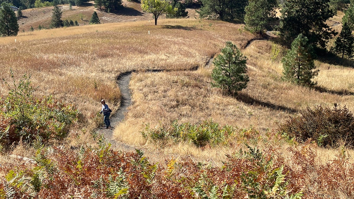 Image for In praise of slowing down