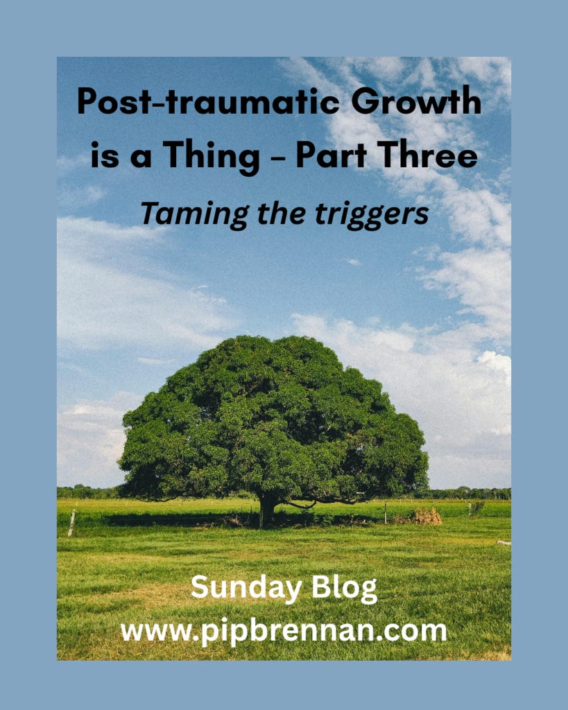 Image of a tree and blue sky with light clouds and the words "Post-traumatic Growth is a Thing - Part Three. Taming the Triggers" Image of a tree and blue sky with light clouds and the words "Post-traumatic Growth is a Thing - Part Three. Taming the Triggers"