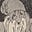 Atlas Marginalia's avatar