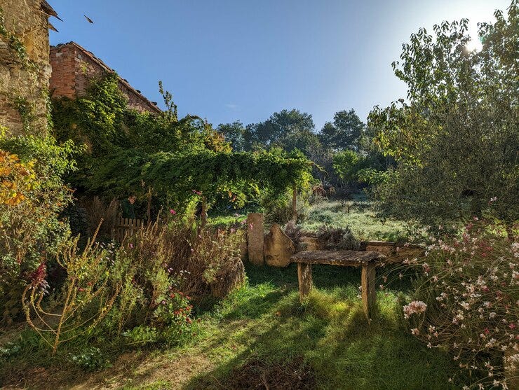Le soleil qui dit non à l'automne
