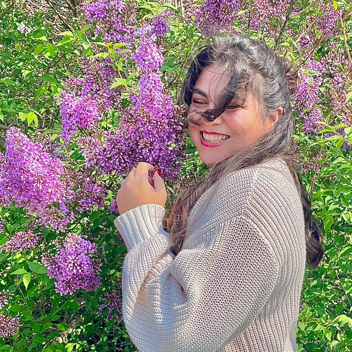 Searching for Stardust