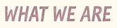 What We Are