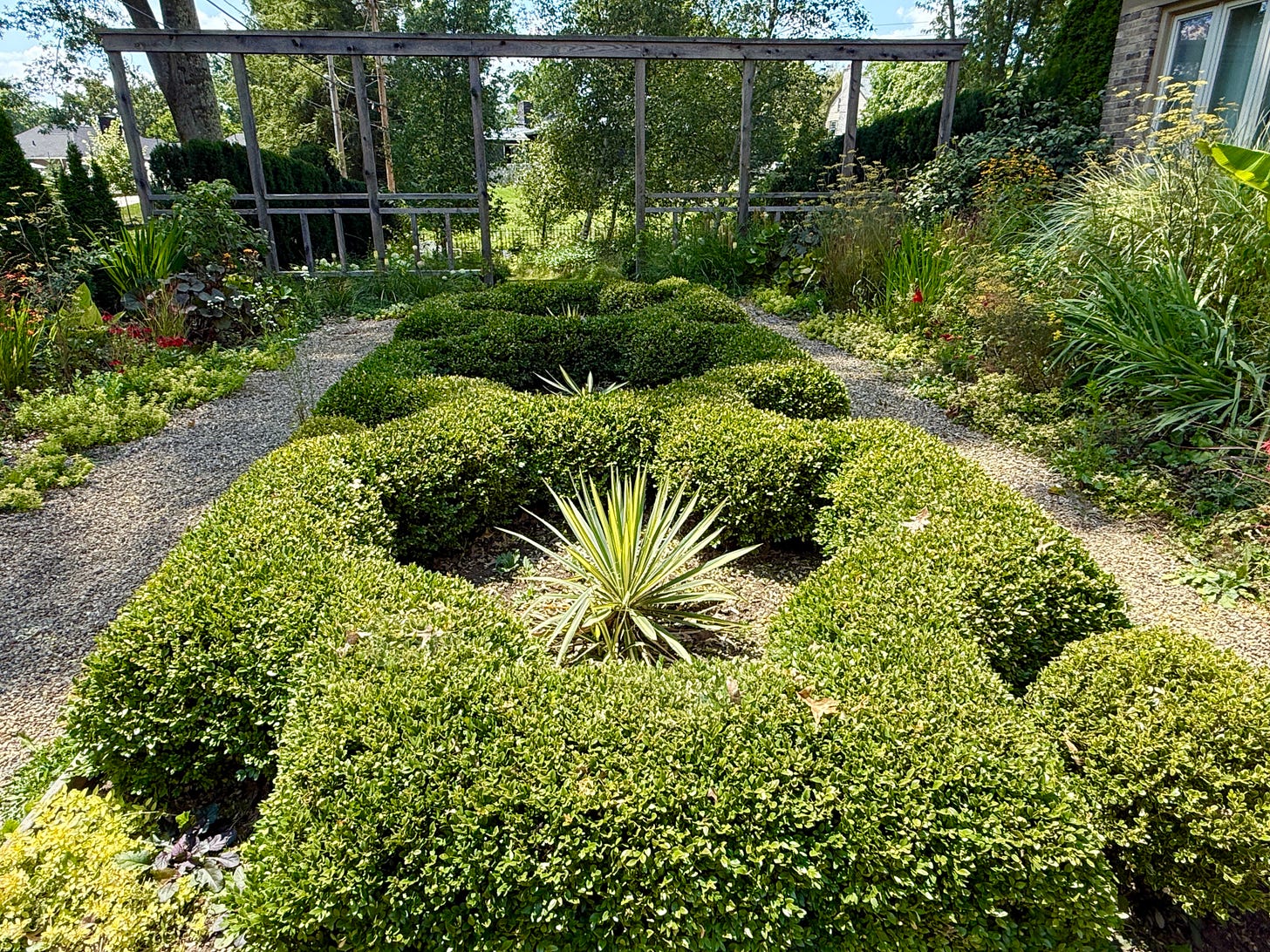 This garden has been wonderful this summer! It is really coming into its own, but I did not get too many photos of it this week. The Hummingbirds are in here every day on the Crocosmia. 