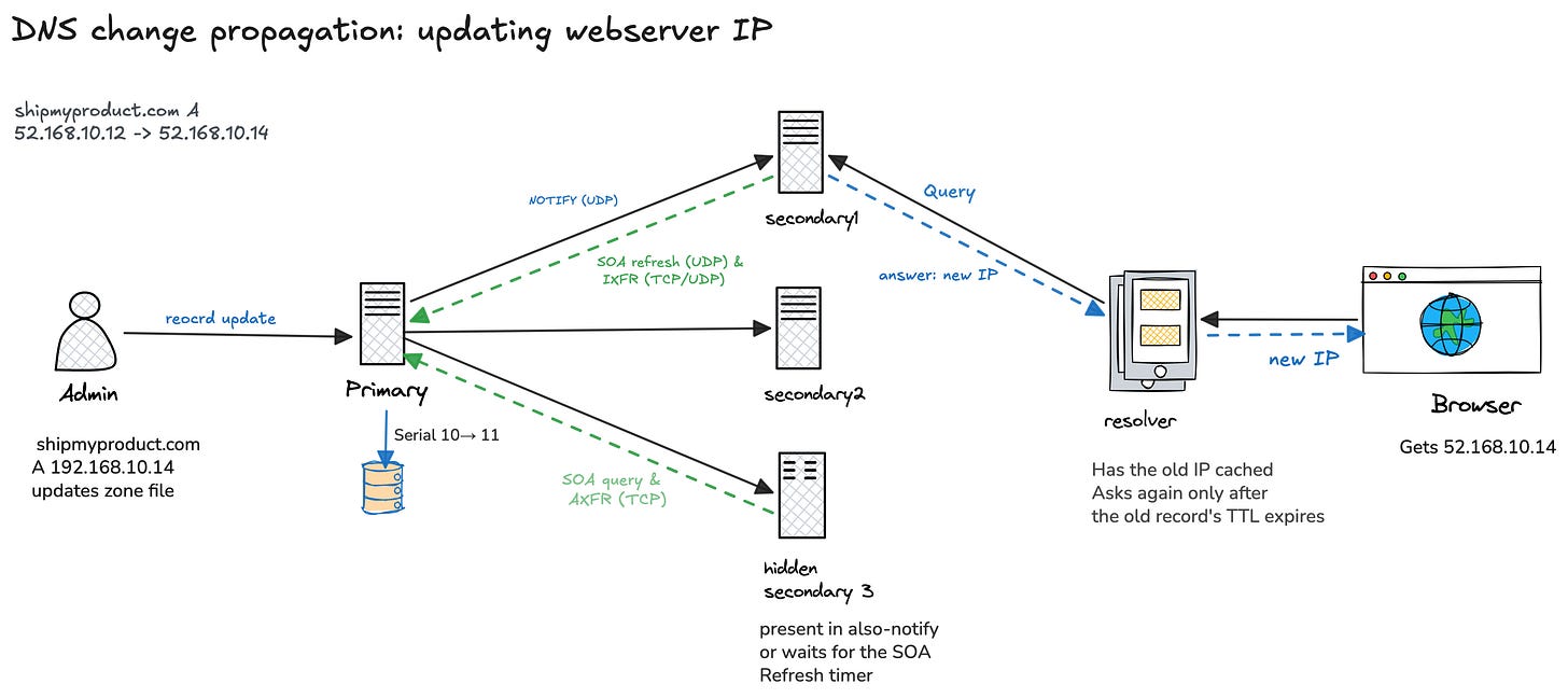 DNS update and propagation flow