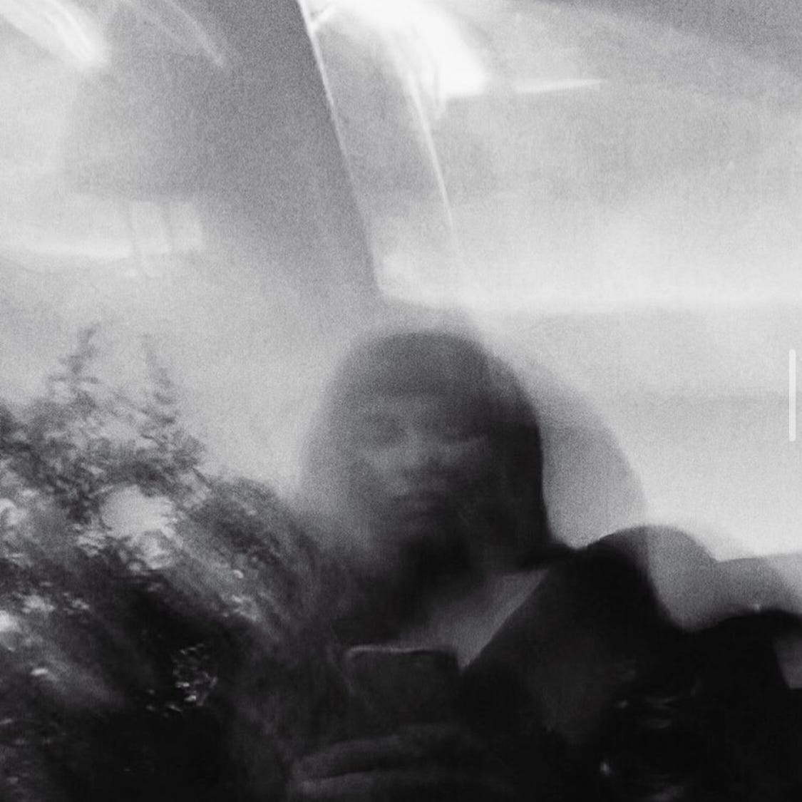 house of strings and sandalwood