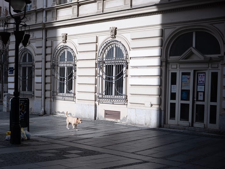 Snapshots from around the Serbian capital. 