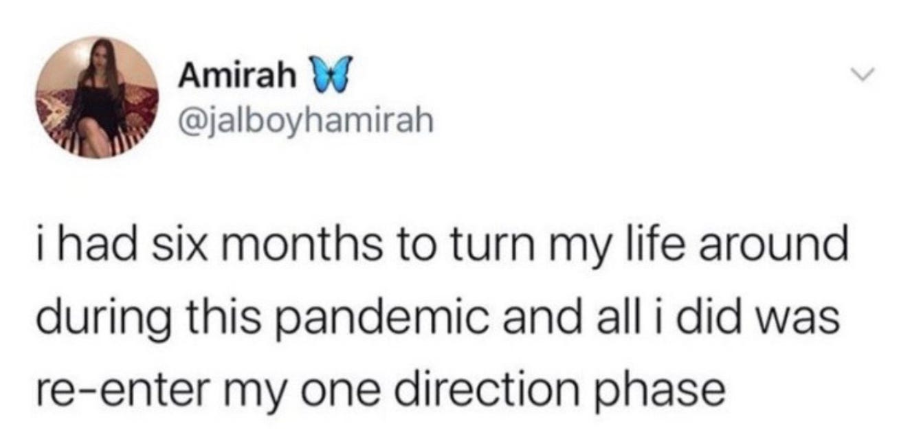 Screenshot of a tweet: i had 6 months to turn my life around during this pandemic and all i did was re-enter my one direction phase