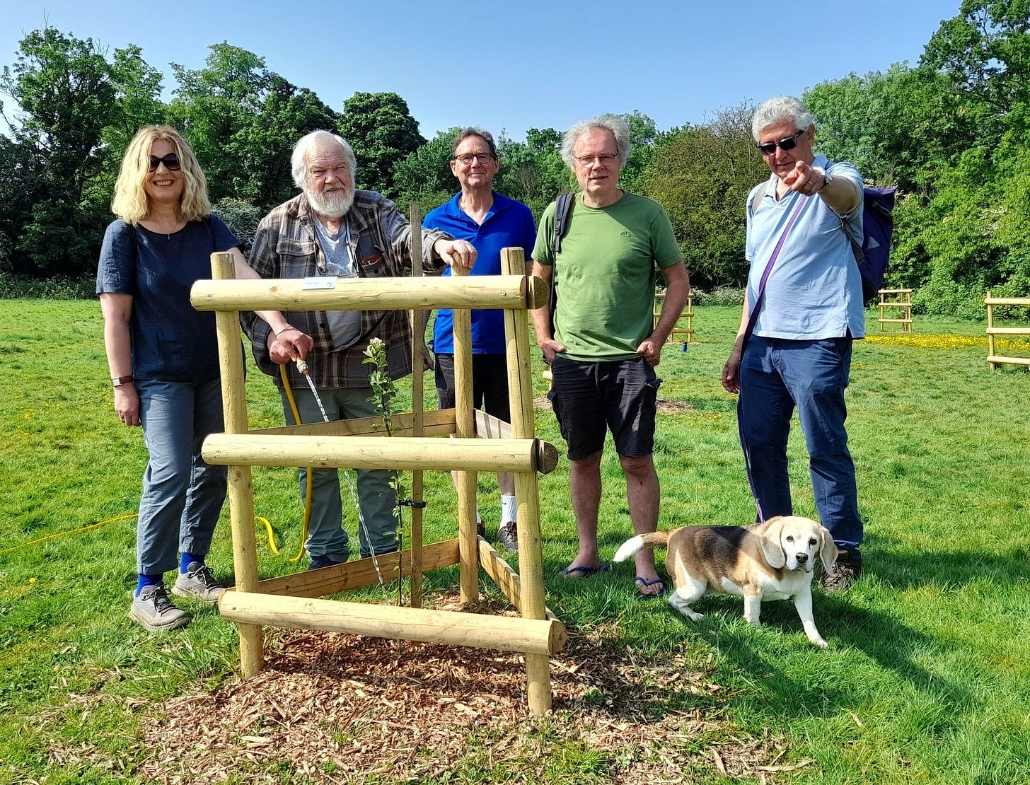 May be an image of 5 people