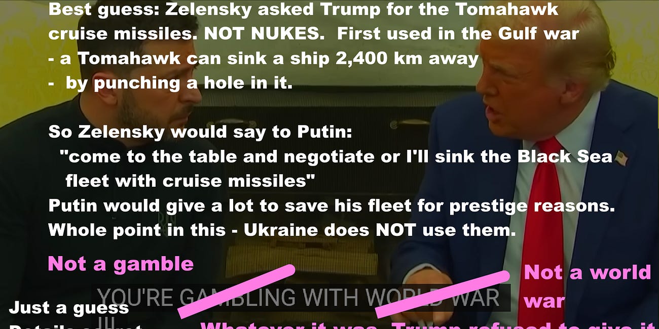 Why did Trump say FALSELY that Zelensky is prepared to risk a world war? Opinion: likely he asked once more for strong levers to bring Putin to the negotiating table
