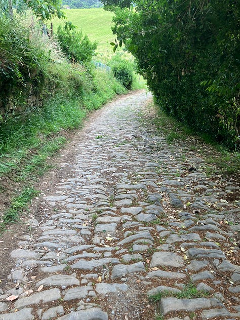 paved promenade curving along waterfront cliffs, a cobblestone path, a dirt road through farmland