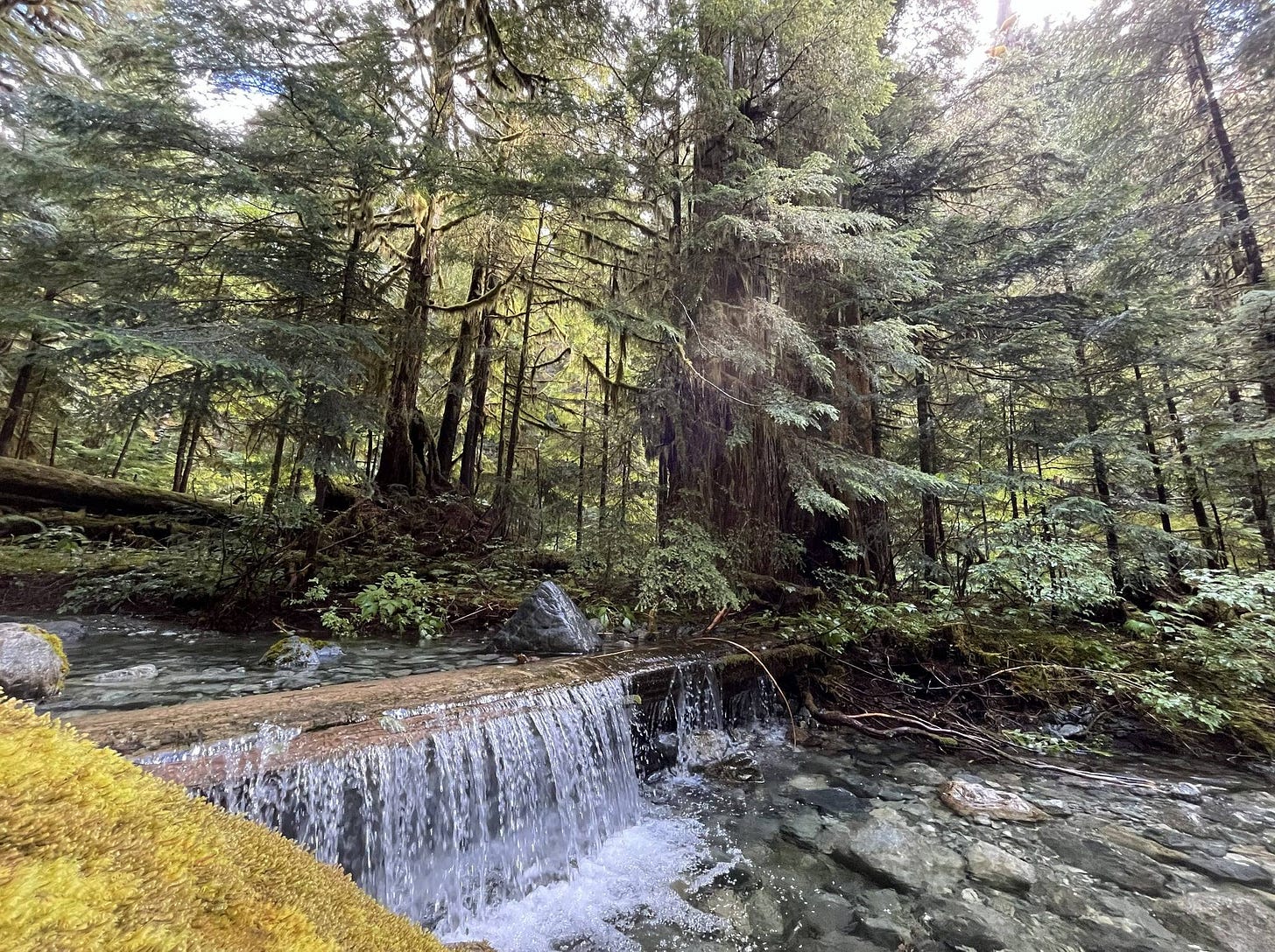 May be an image of waterfall