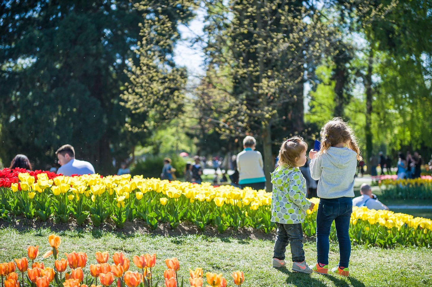 Fête de la Tulipe 2024 | Morges Région Tourisme