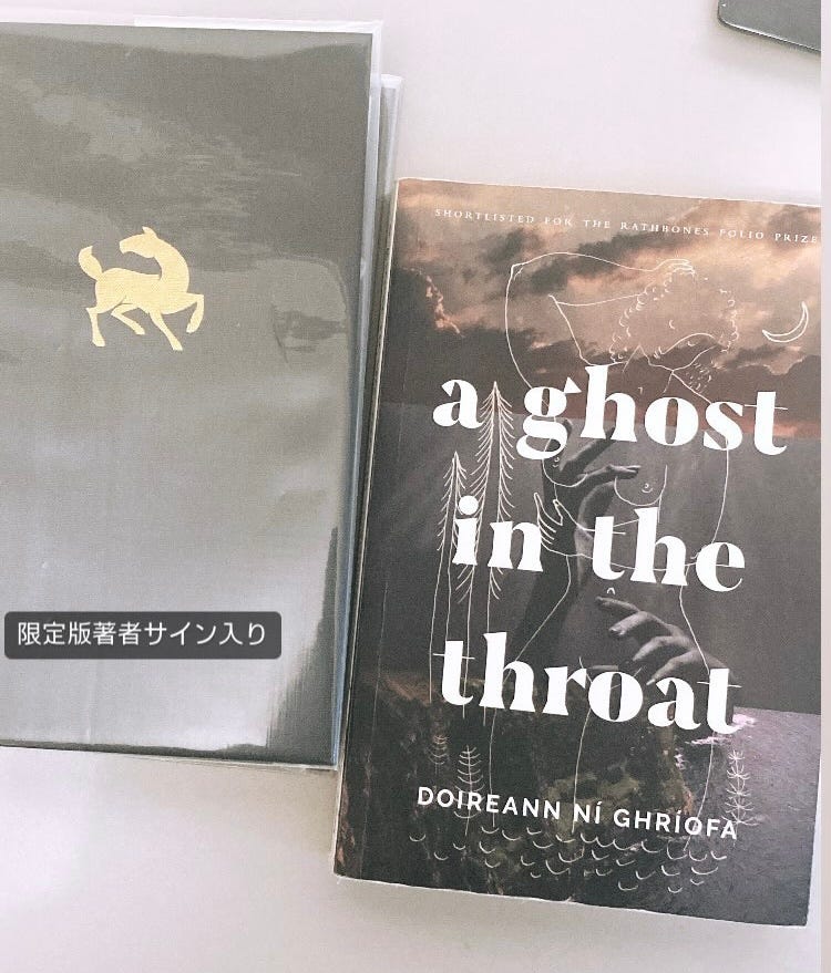 a ghost in the throat原書書影