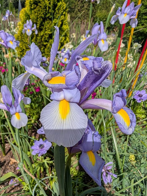 Sarah P Duke Gardens Duke University