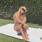 Rachel DeLuca's avatar