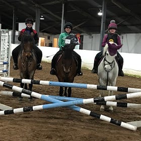 Ponies take home prizes at Mossvale