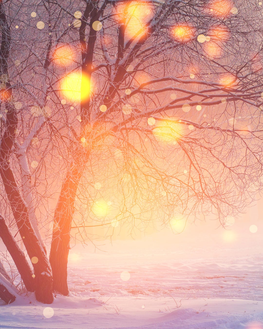 The Magick You’re NOT Making At Winter Solstice