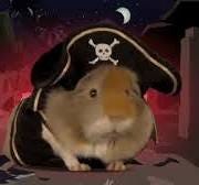 Guinea Pig Halloween GIF by South Park - Find & Share on GIPHY