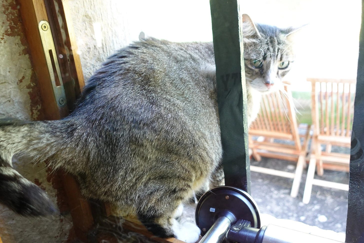 The escape window for cute Moumou 