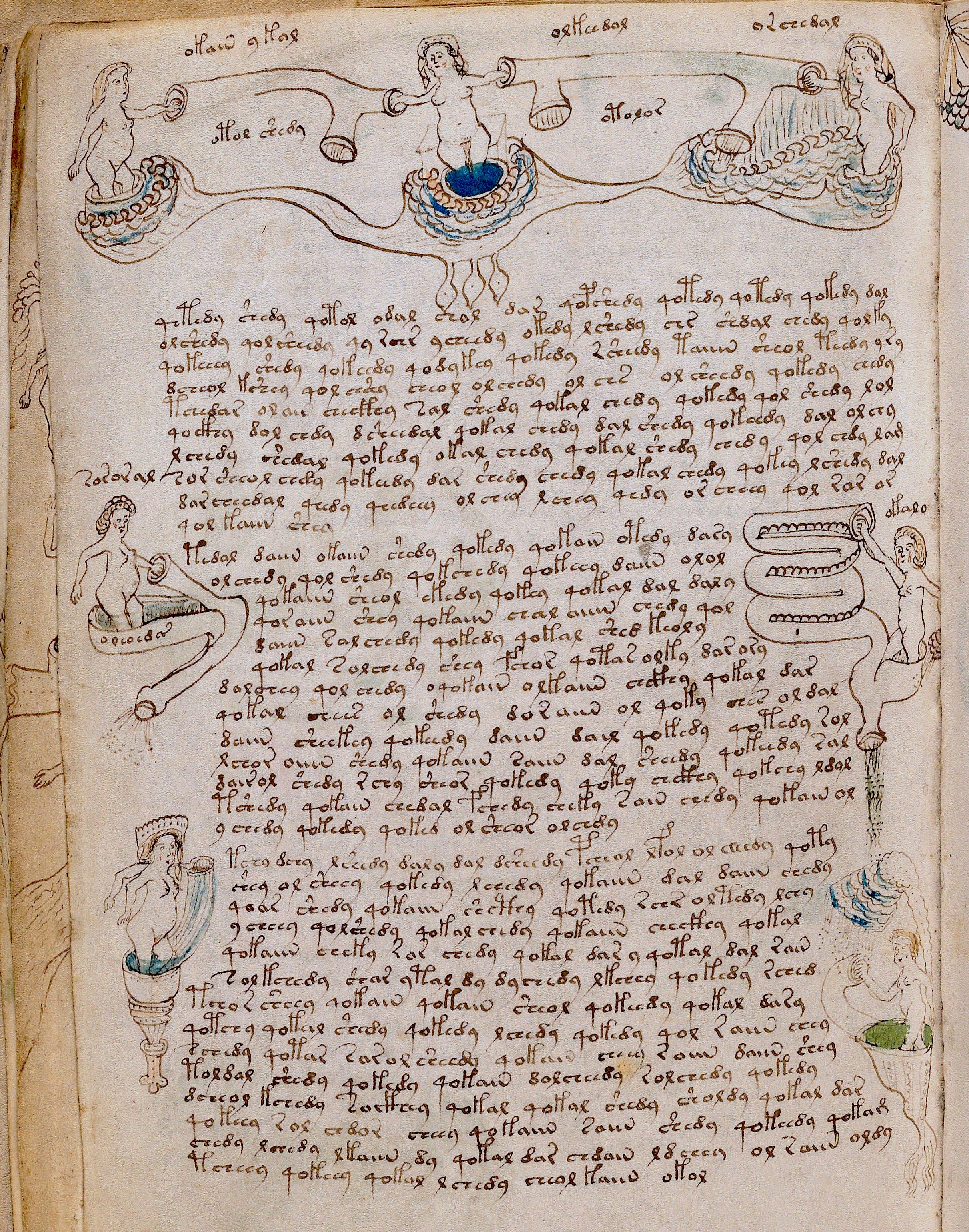 Meet the Voynich manuscript, the world's most mysterious book