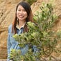 Rosalie Chan's avatar