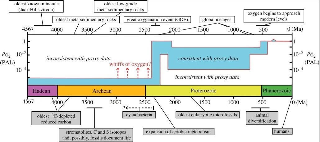 A complex graphic showing the four major eons in Earth’s history: the Hadean, Archean, Proterozoic and Phanerozoic, with atmospheric oxygen levels on a logarithmic scale, annotated with signs of life at various times. There are no more than possible whiffs of oxygen up till about 2.5 billion years ago. PAL is 'present atmospheric level' A complex graphic showing the four major eons in Earth’s history: the Hadean, Archean, Proterozoic and Phanerozoic, with atmospheric oxygen levels on a logarithmic scale, annotated with signs of life at various times. There are no more than possible whiffs of oxygen up till about 2.5 billion years ago. PAL is 'present atmospheric level'