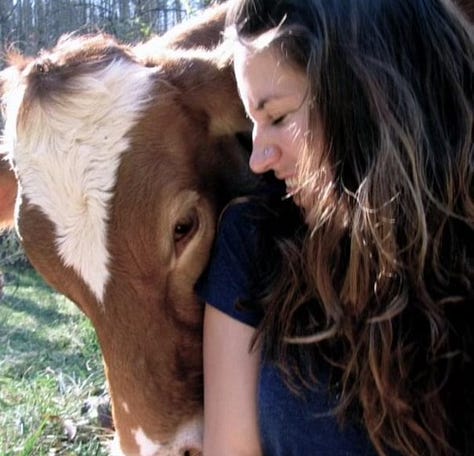 Selfies of Connie with sheep, cow, and goats.