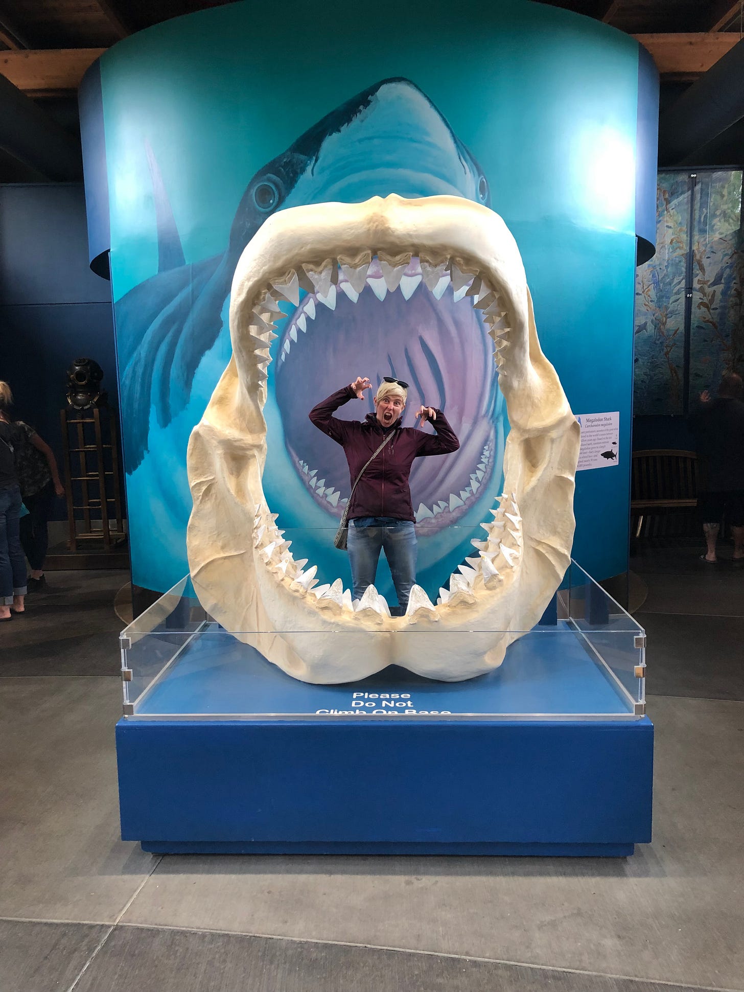 Jessie standing in the giant jaws of a shark at Newport Aquarium Jessie standing in the giant jaws of a shark at Newport Aquarium