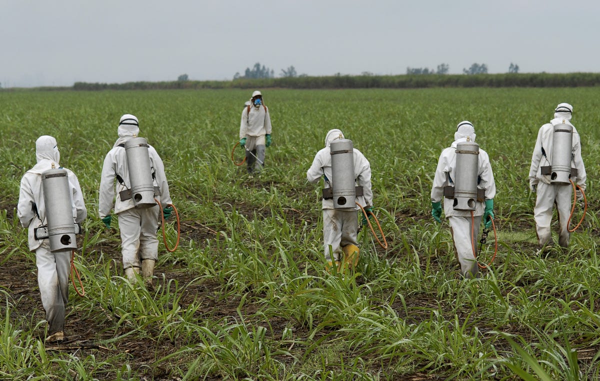 Center for Food Safety | Press Releases | | Public Interest Groups, Farmers  File Lawsuit Challenging Monsanto's Toxic Pesticid