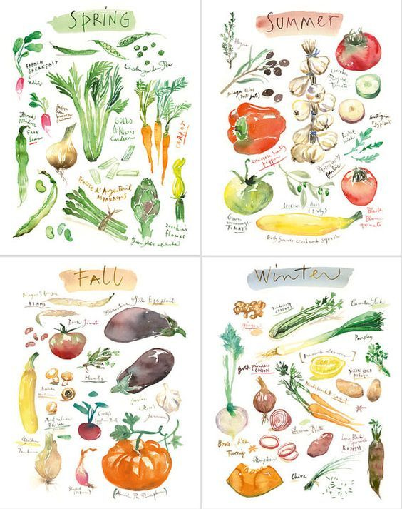 This may contain: four different types of vegetables on paper