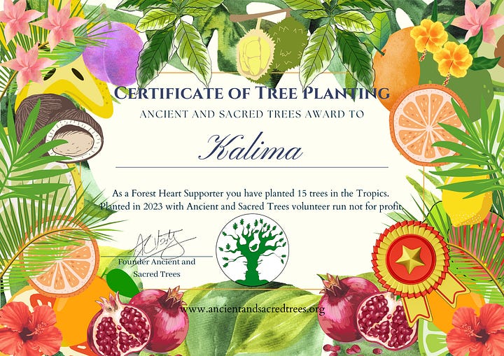 Tree planting certificates and teeshirts funding tree planting and protection in the UK and Tropics.