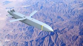 NATO-supplied missiles intercepted over Russian border region – governor