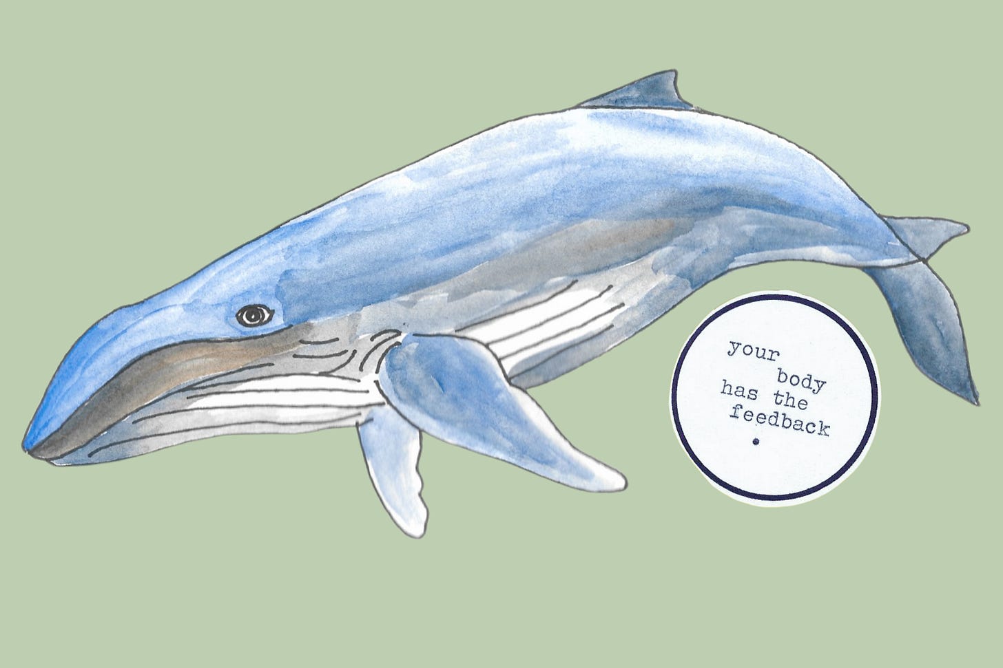 humpback whale with the text: your body has the feedback humpback whale with the text: your body has the feedback