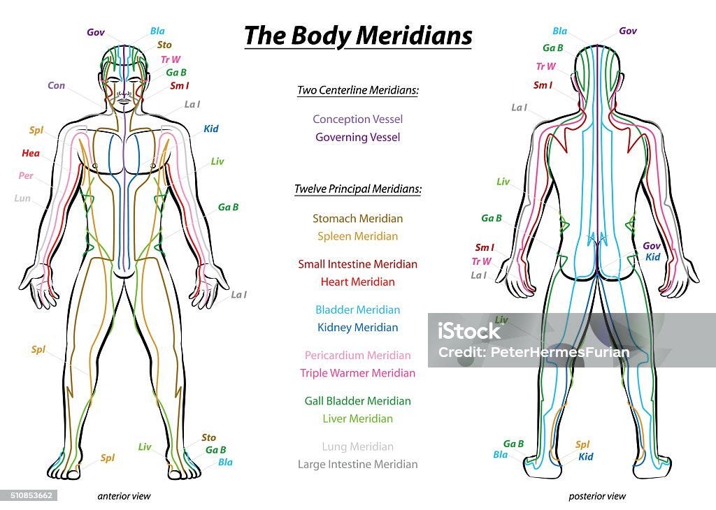 Meridian System Description Chart Male Body Meridian System Chart - Male body with principal and centerline acupuncture meridians - anterior and posterior view - Traditional Chinese Medicine - Isolated vector illustration on white background. Acupuncture stock vector