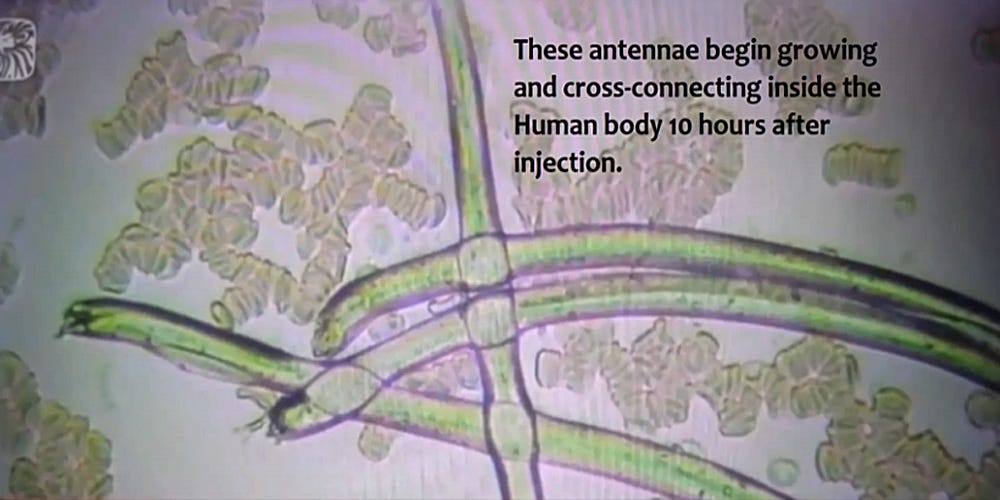 Microscopy of mRNA nanofibers growing in body post-injection 2022