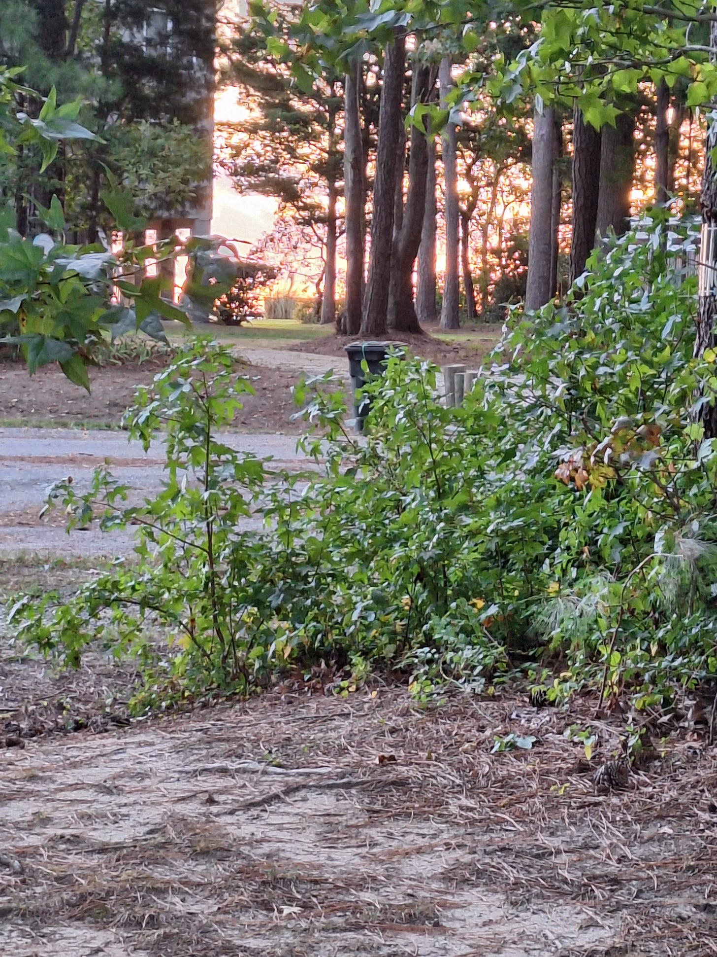 Early morning sun rising over a snow-packed trail, symbolizing hope after a long night.