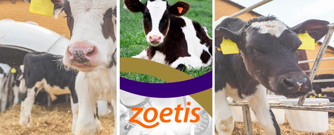 Zoetis