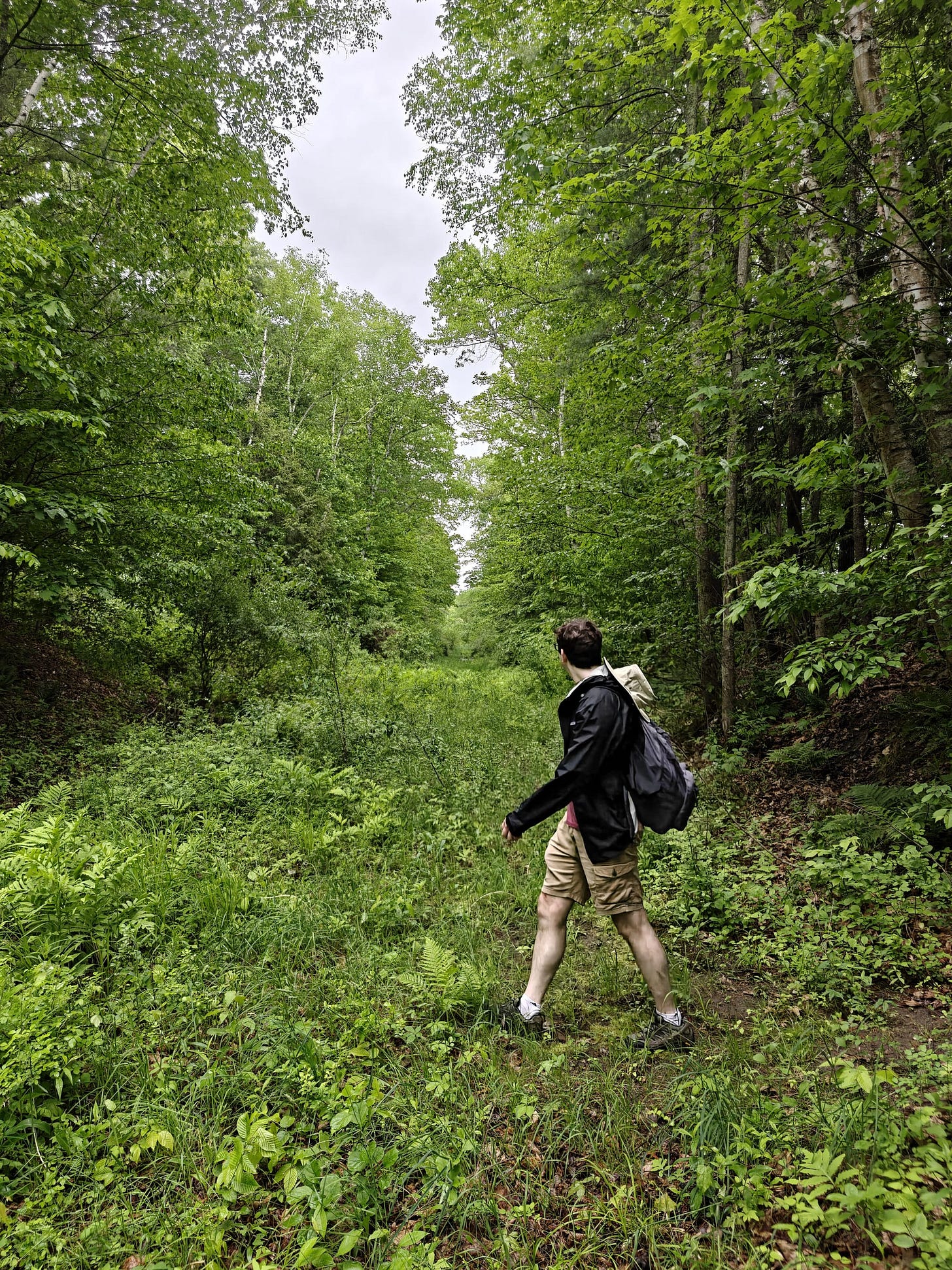 A Trek Along the Cocheco Railroad