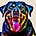 Rufus's avatar